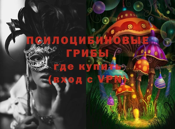 ГАЛЛЮЦИНОГЕННЫЕ ГРИБЫ Балахна