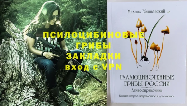ГАЛЛЮЦИНОГЕННЫЕ ГРИБЫ Балахна