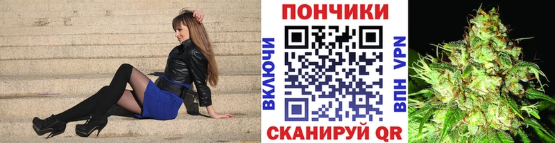 сколько стоит  Фролово  Шишки марихуана семена 